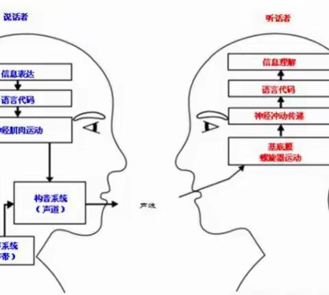 发音不清晰、爱流口水、面部肌肉紧张都适用的口肌运动