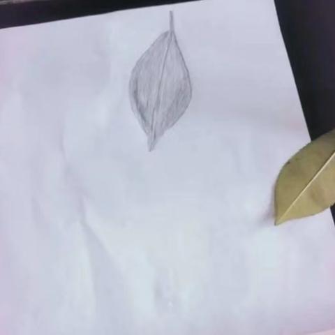 《描绘叶脉》