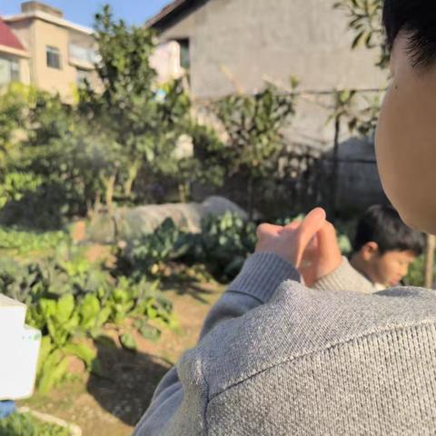 科学小实验《光的魔术》——星辰班彭润、柯若麟