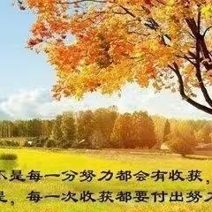 卓优三1班第十一周学情反馈