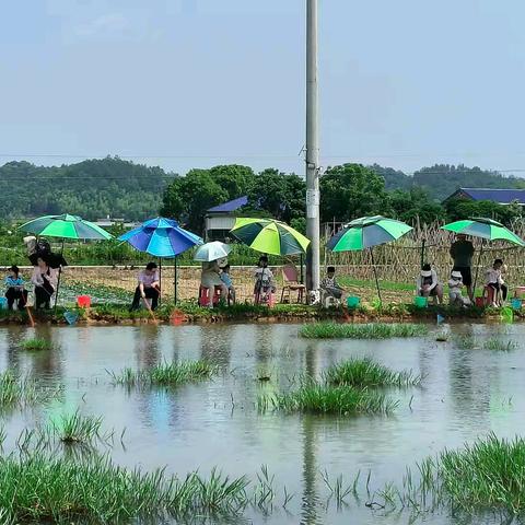 户外活动“果园镇”钓龙虾🦞活动及田汉文化园参观