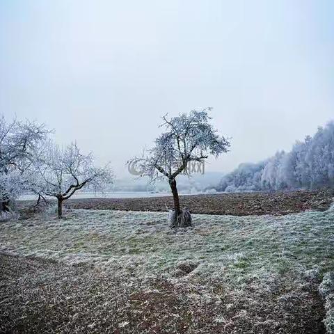 凛冽寒冬至，朝阳送教忙——华州区朝阳学校送教纪实（十五）