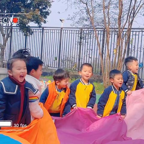 《用爱相伴•与幼成长》——星都会幼儿园中一班第四周精彩回顾与下周预告