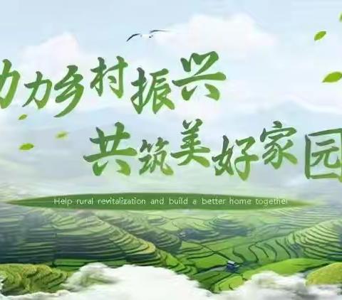 百良镇卫生院乡村振兴共创美好家园——助力村庄清洁“三净”行动
