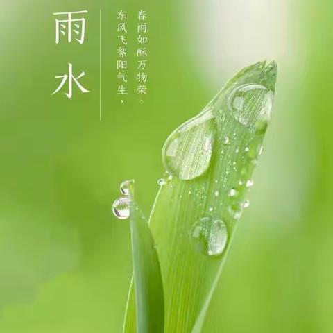 “春意萌动，“雨”你相遇”——雨水活动记实