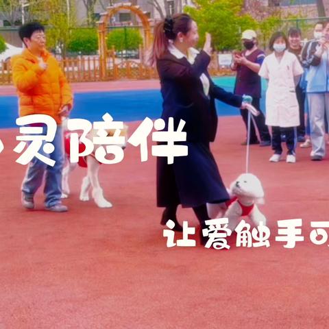 心灵陪伴 让爱触手可及❤️