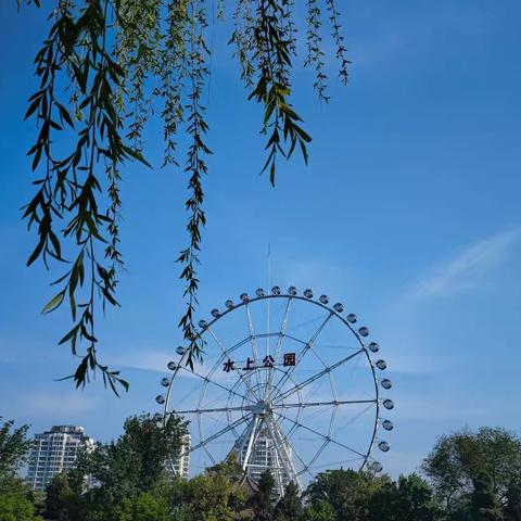 春日趣探——萌宝寻春记