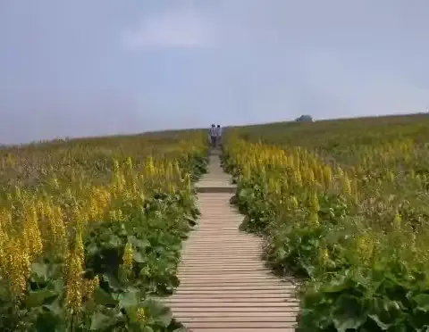 山西圣王坪一日游