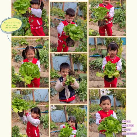 相机📷📸定格记录你们的生活💓——启发幼儿园小一班