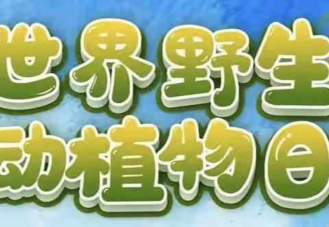 宏图林场开展2024年“世界野生动植物日”主题宣传活动