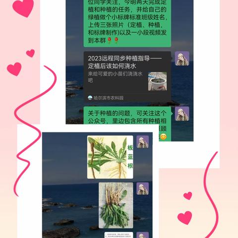 我种植，我快乐—— 实验小学六年八班远程种植活动