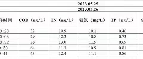 江东新区水质净化中心服务区管网及排水设施排查项目今日进展情况（2023年5月26日）