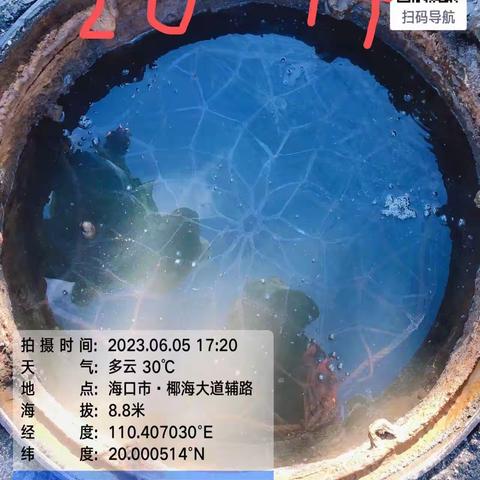 江东新区水质净化中心服务区管网及排水设施排查项目今日进展情况（2023年6月5日）