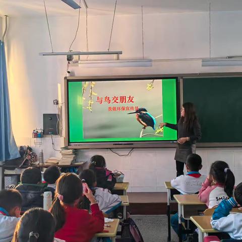 校园爱鸟环保活动：播撒生态保护的种子