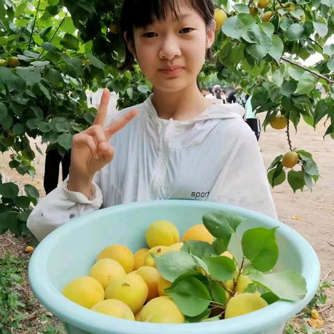 “享丰收之趣，悟农学之乐” 青塔乡陈王庄小学开展劳动基地实践活动