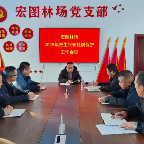 新林林业局宏图林场开展 2025年野生兴安杜鹃保护工作