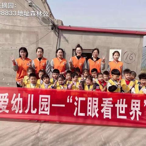 《汇眼看世界——小番茄奇遇记🍅》———汇爱幼儿园彩虹班🌈社会实践活动