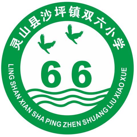 表彰激奋进 榜样促前行｜记灵山县沙坪镇双六小学2024年春季学期期末总结表彰大会