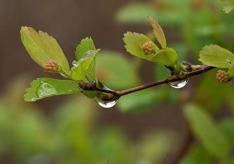 雨天感官瓶—财信教育北园幼儿园中二班