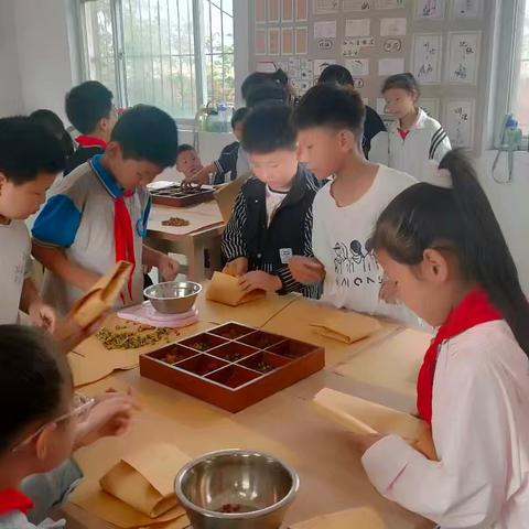 夏日热浪淬青春 劳动基地绽芳华——洪河屯乡第一中心小学三二班劳动实践基地特色课程