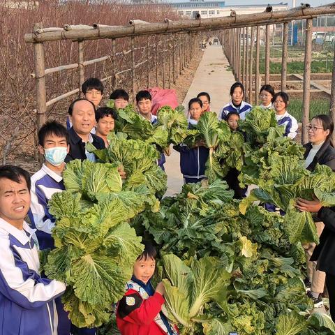 情系特殊教育  爱献残障少年  ——漯河市实验小学邀请残障学生走进劳动实践基地采摘蔬菜