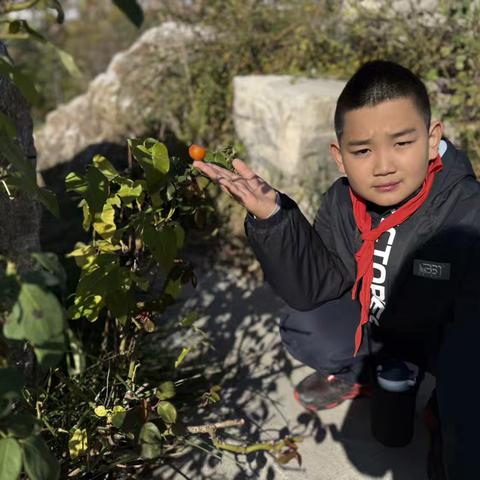 【爱的教育】我的植物朋友—唐山博杰学校乐善中队班级特色活动