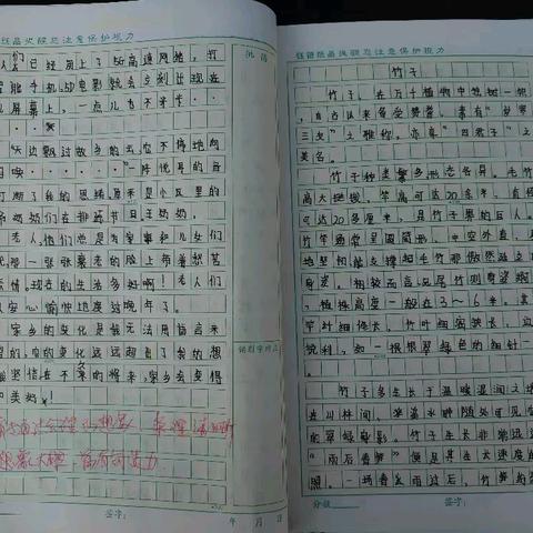 【肥乡区大寺上镇中心校大西韩小学】展作业风采，育优良学风