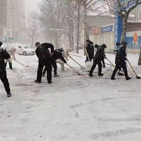 西里街道梦溪园社区开展“扫雪除冰保安全 志愿服务暖人心”活动