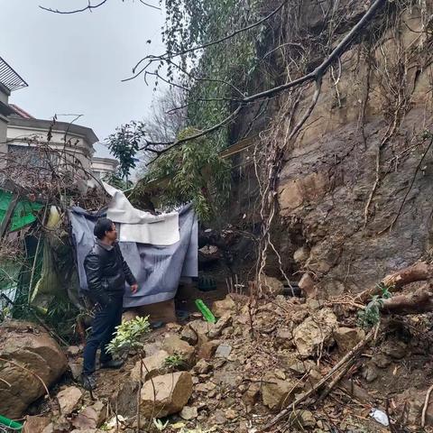 大陈一村楼扬萍屋后地灾点现场查看