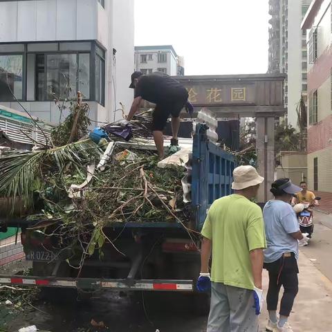 爱华社区开展“摩羯”台风重建工作