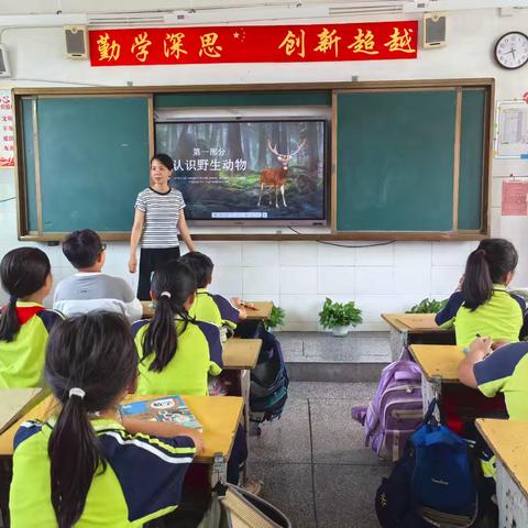 世界动物日——记广信区第一小学六（10）班主题班队活动