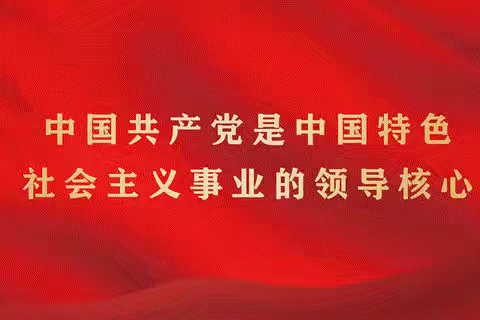 中川村开展建党103周年“庆七一”主题活动