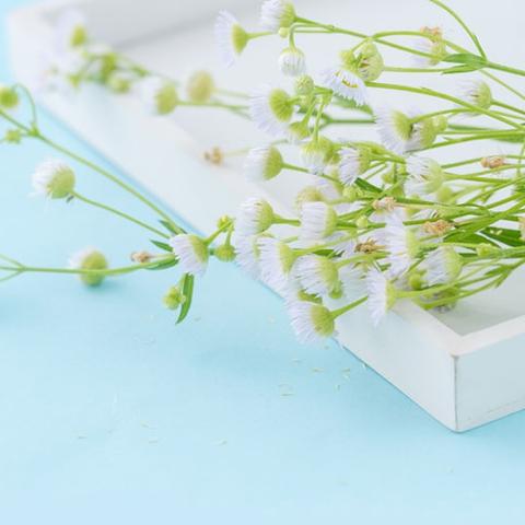 安全为基 ·生命至重———文水县梧桐路小学2026年寒假安全告家长书