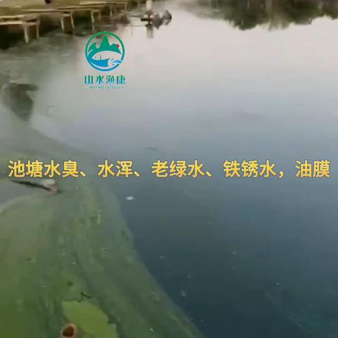 鱼塘水质恶化这么做