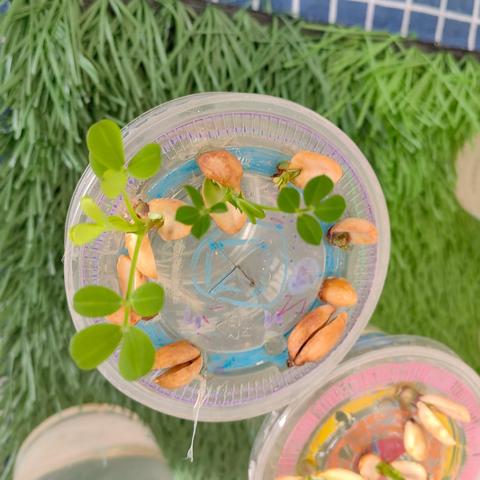 兴庆十三幼“同悦”家园共育大一班（第八期）