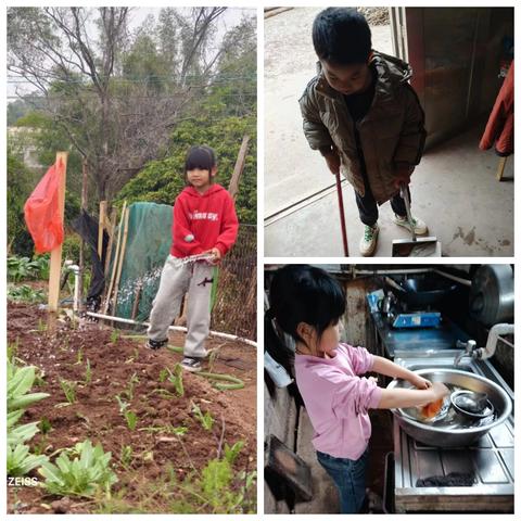 假期“家”速成长 劳动点亮生活 ——德华小学寒假劳动实践作业成果展示