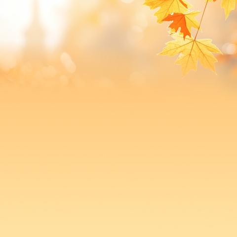 开笔明礼启蒙人生一一桂平市木根镇德华小学举行2025级新生开笔礼仪式活动