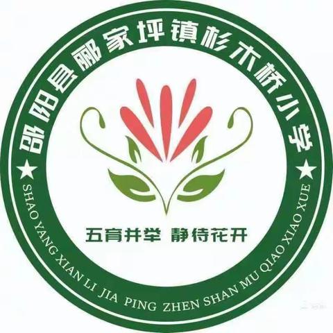 继承优良传统，弘扬雷锋精神---杉木桥小学开展义务扫街活动