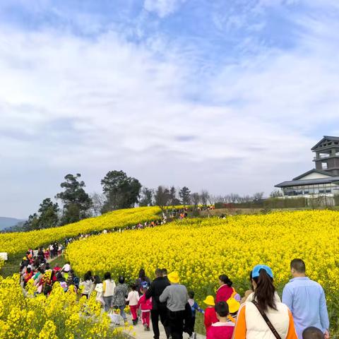 “温暖三月，快乐相伴”——伯幼大五班三月精彩美篇