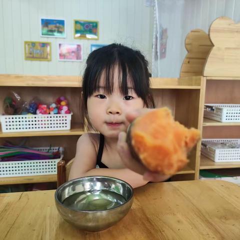 【营养膳食】东方实验幼儿园每周食谱 (9.11——9.15)