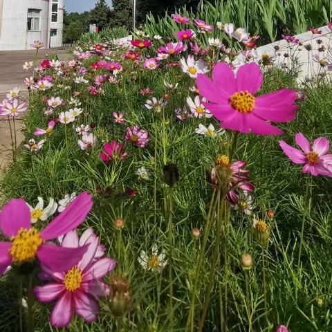 多彩课程助“双减”，五育并举向未来—机场子校特色兴趣课程集锦