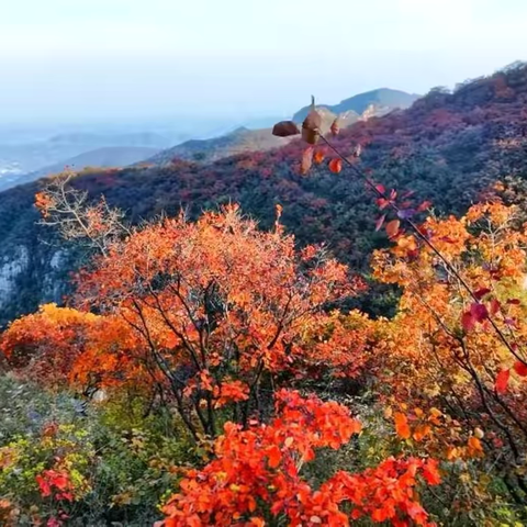 多彩沙河SHOW·赏秋景 迎国庆！这个国庆长假来沙河，超多精彩文旅活动等你来打卡！