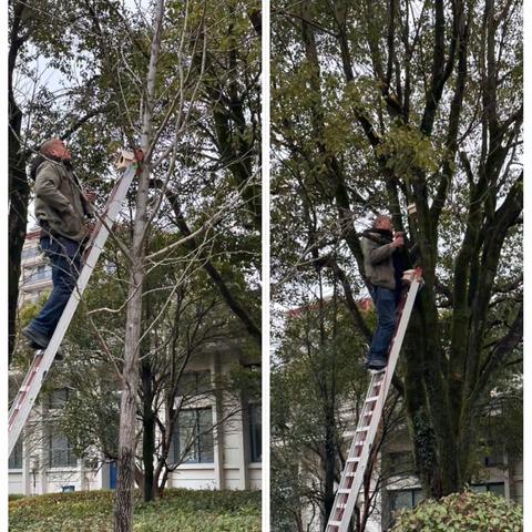 生物多样性友好单元建设，武义在行动