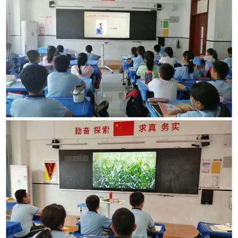 铸未来  共成长  5.22-5.26   2.6班  班级周报