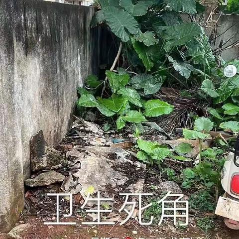 演丰镇群庄村委会继续开展人居环境卫生整治工作简报