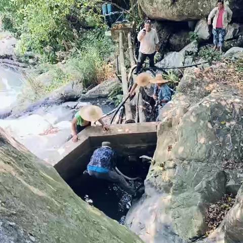 毛阳镇牙胡村开展清理乱接灌溉槟榔水管整治行动