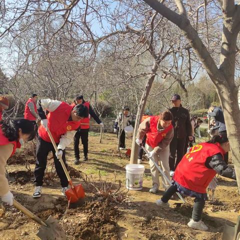 济南市公园发展服务中心百花公园2024年义务植树尽责活动拉开序幕