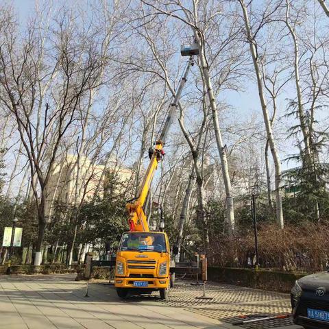 城市绿化的和谐画卷