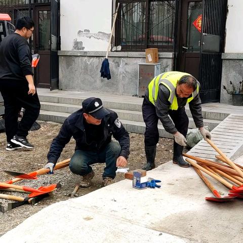 “冬未尽，春已到”，百花公园履“植”忙