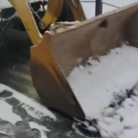 浴“雪”奋战，百花公园全力以赴除雪保畅通